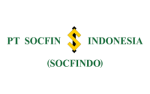 PT. Socfin Indonesia